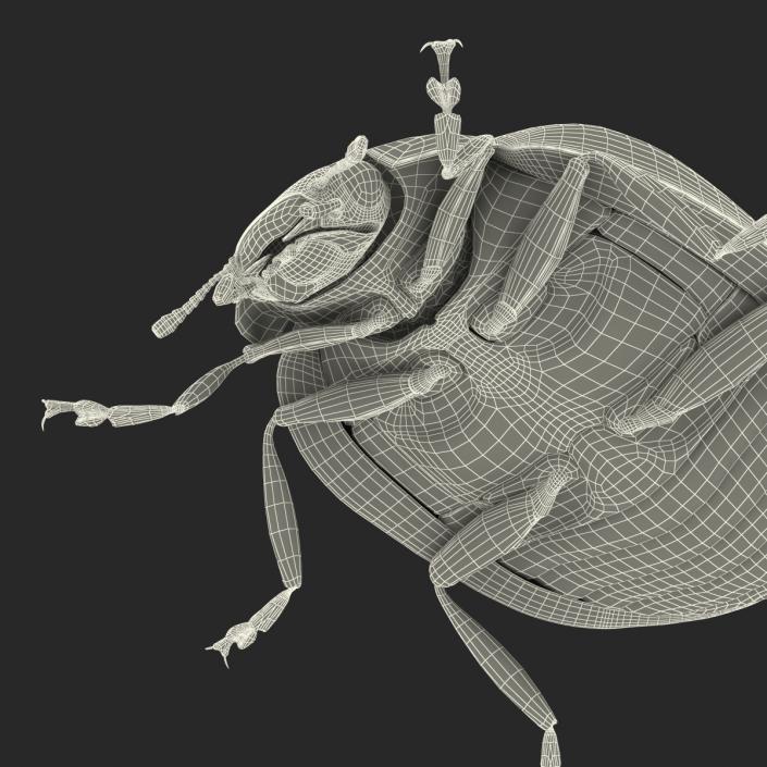 3D LadyBug Rigged with Fur model