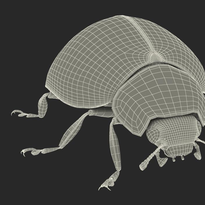 3D LadyBug Rigged with Fur model