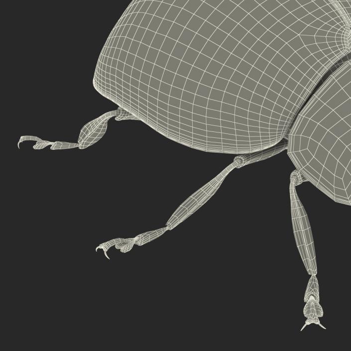 3D LadyBug Rigged with Fur model