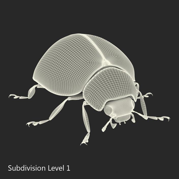 LadyBug Rigged 3D model