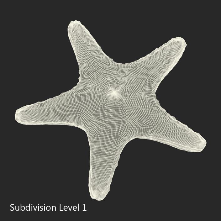 Starfish with Fur 3D