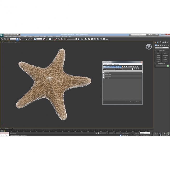 Starfish with Fur 3D