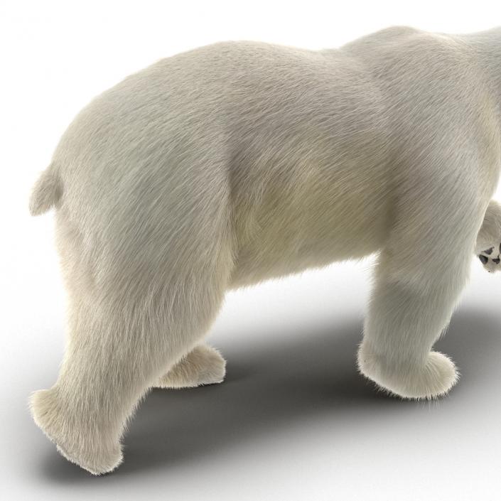 3D Polar Bear with Fur Pose 2