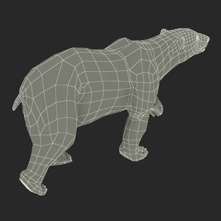 3D Polar Bear with Fur Pose 2