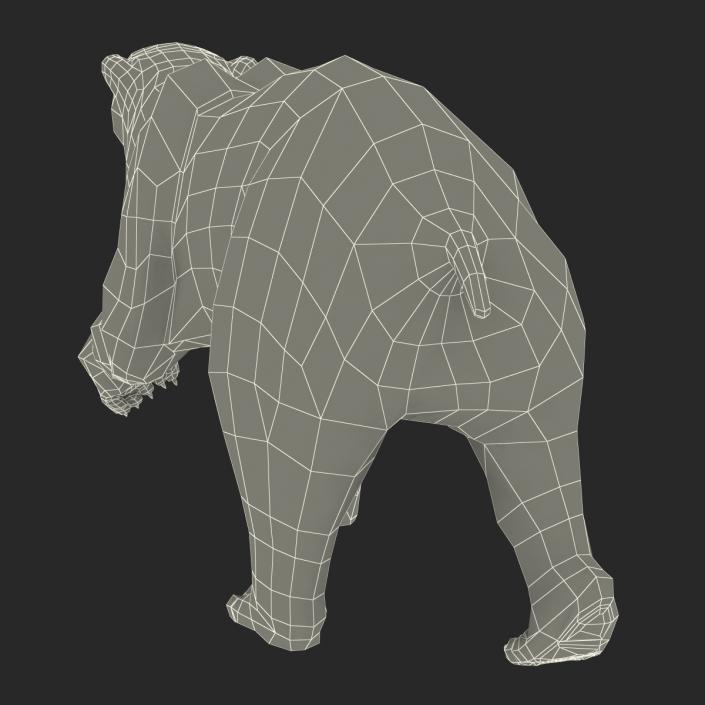 3D Polar Bear with Fur Pose 2