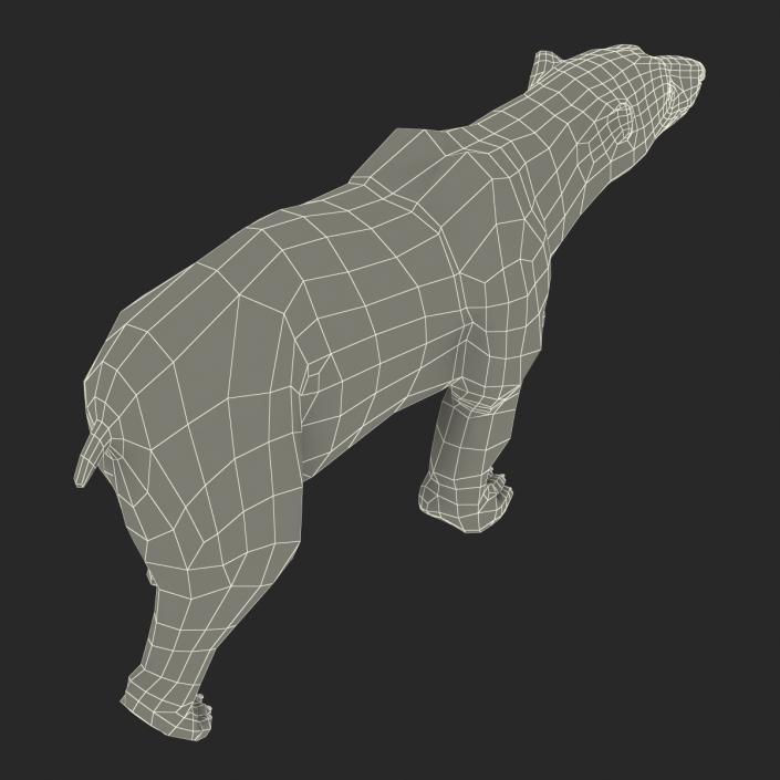 3D Polar Bear with Fur Pose 2