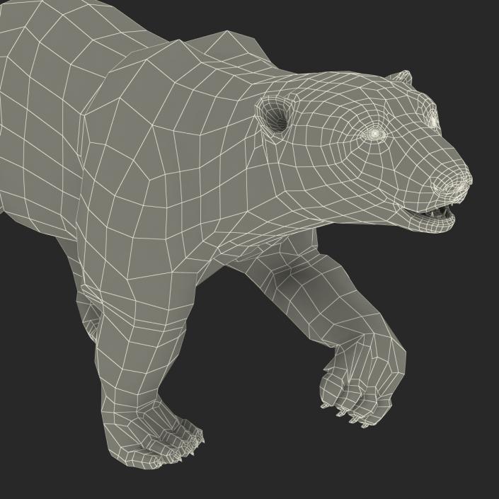 3D Polar Bear with Fur Pose 2