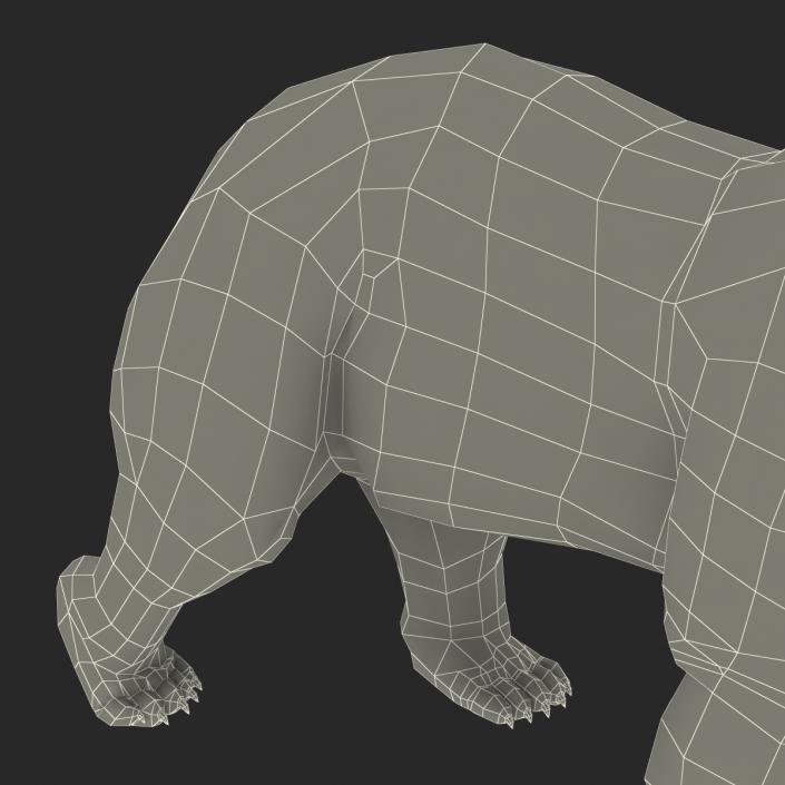 3D Polar Bear with Fur Pose 2