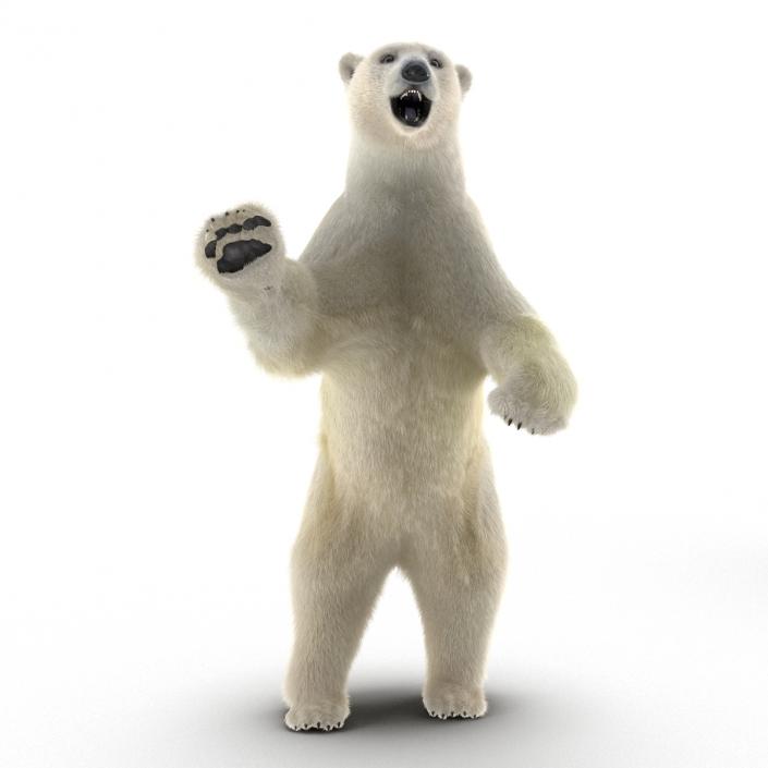 3D Polar Bear with Fur Pose 3