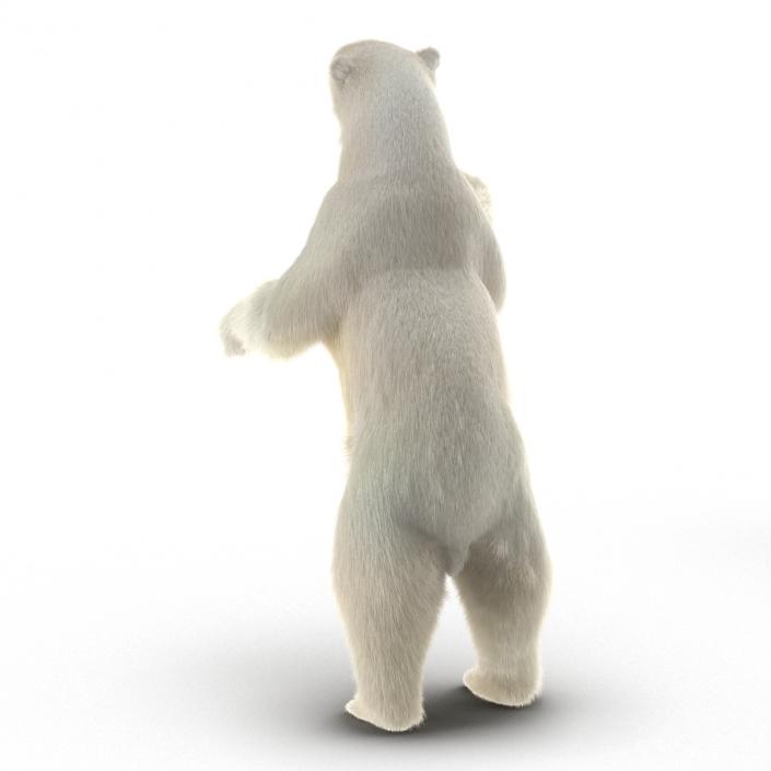 3D Polar Bear with Fur Pose 3