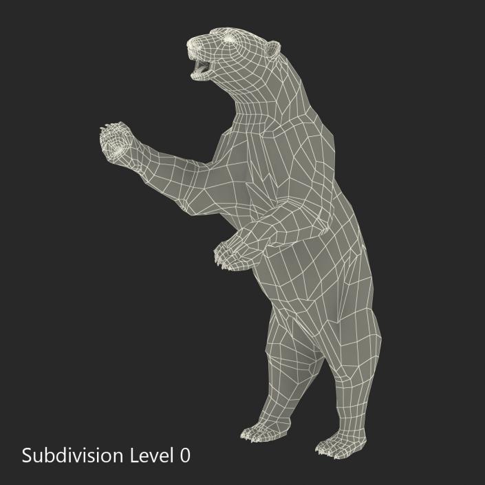 3D Polar Bear with Fur Pose 3