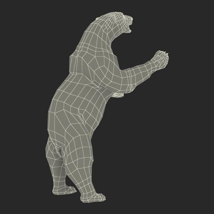 3D Polar Bear with Fur Pose 3