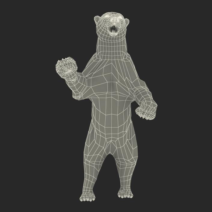 3D Polar Bear with Fur Pose 3