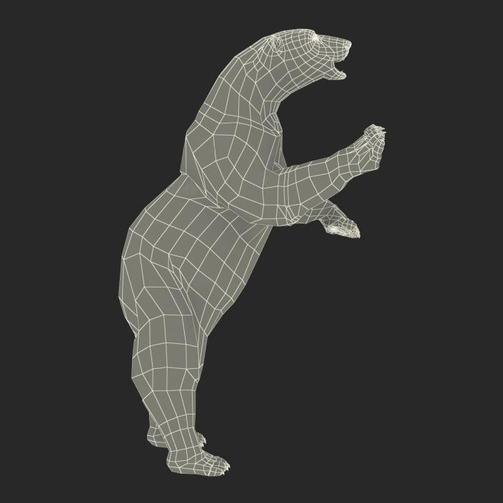 3D Polar Bear with Fur Pose 3