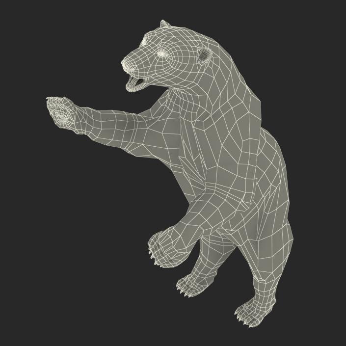 3D Polar Bear with Fur Pose 3