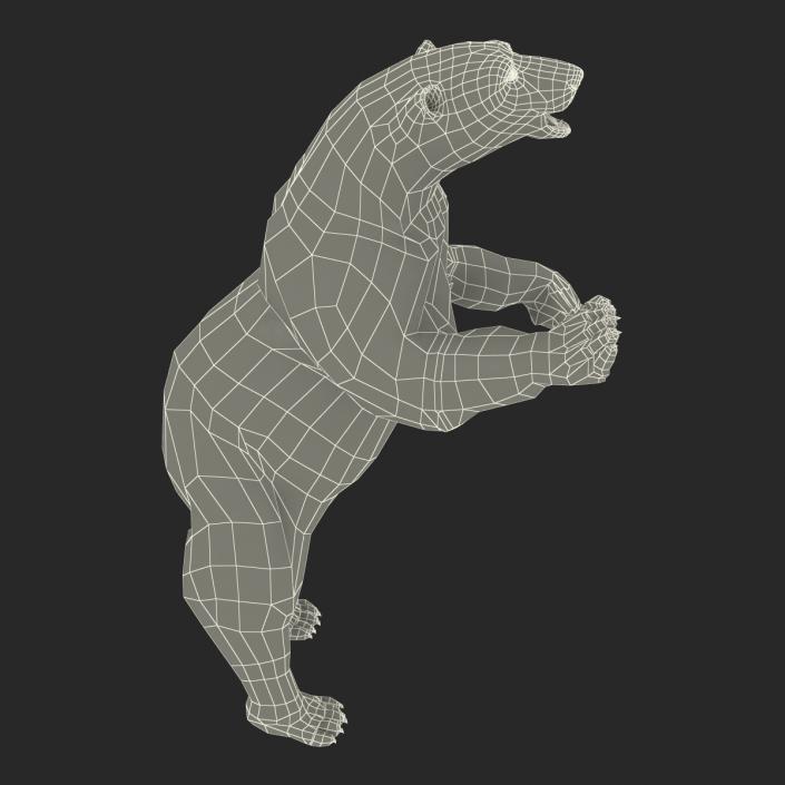 3D Polar Bear with Fur Pose 3