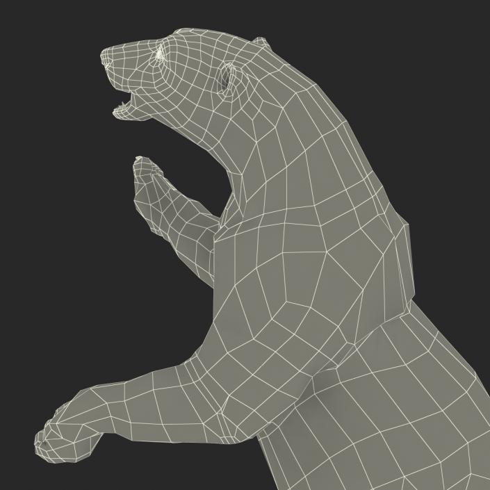 3D Polar Bear with Fur Pose 3