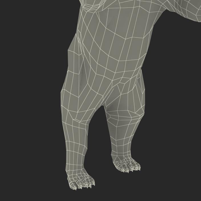 3D Polar Bear with Fur Pose 3