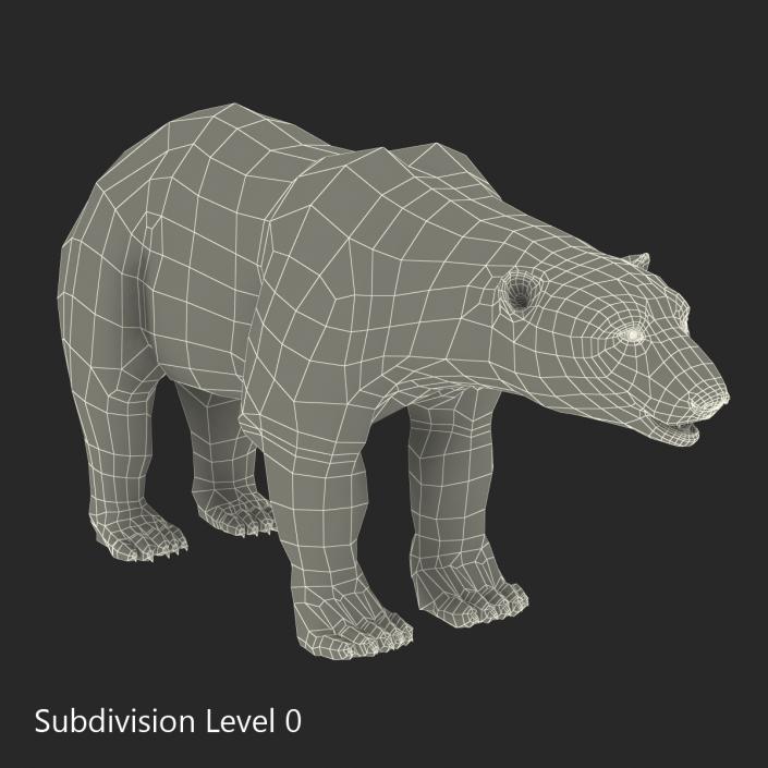 3D Polar Bear with Fur Rigged