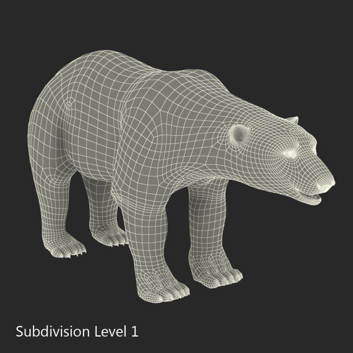 3D Polar Bear with Fur Rigged