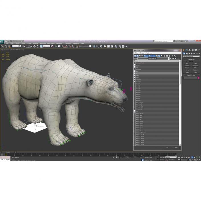 3D Polar Bear with Fur Rigged