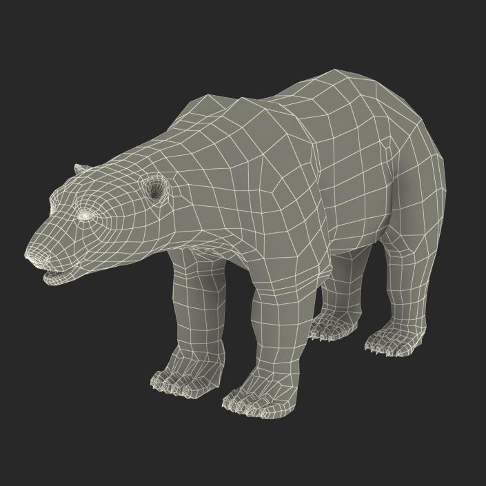 3D Polar Bear with Fur Rigged