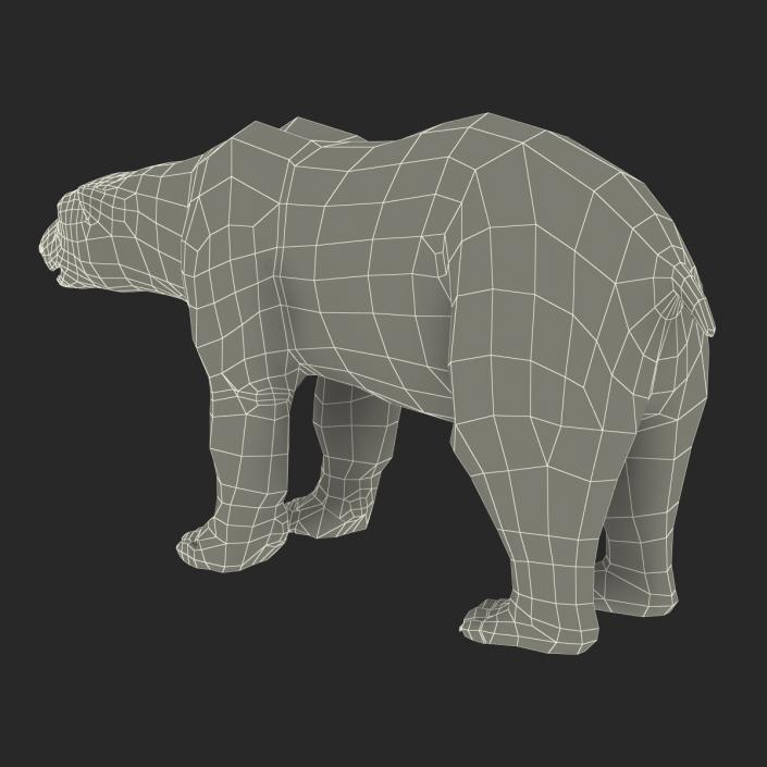 3D Polar Bear with Fur Rigged