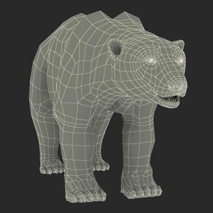 3D Polar Bear with Fur Rigged