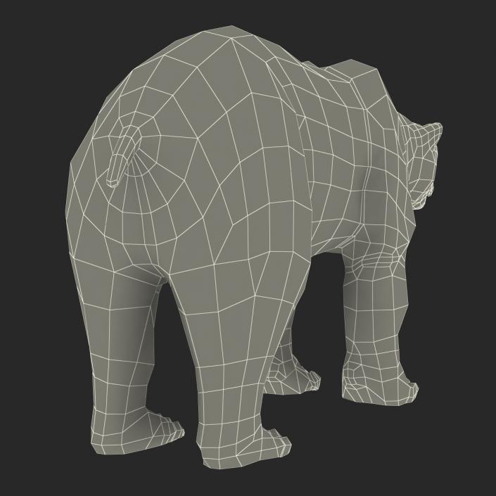 3D Polar Bear with Fur Rigged