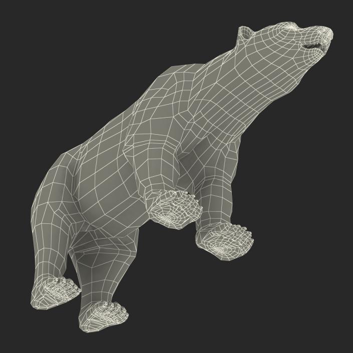 3D Polar Bear with Fur Rigged