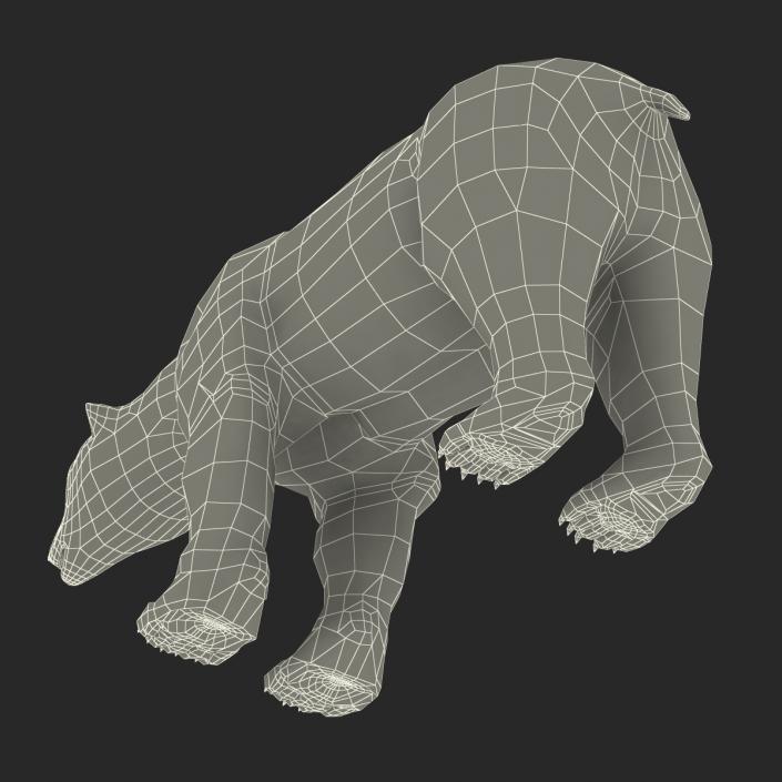 3D Polar Bear with Fur Rigged