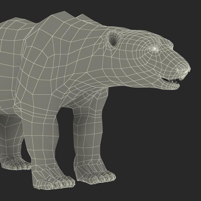 3D Polar Bear with Fur Rigged