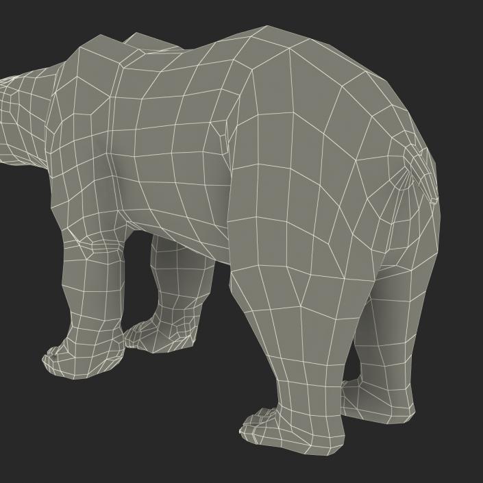 3D Polar Bear with Fur Rigged