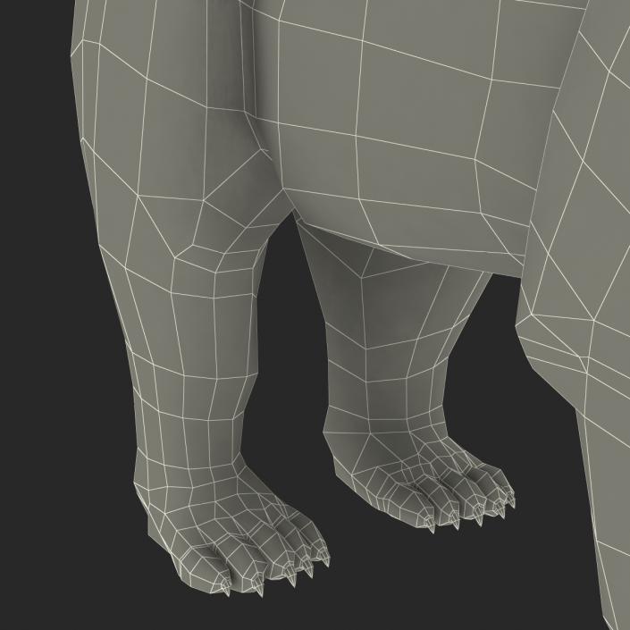 3D Polar Bear with Fur Rigged