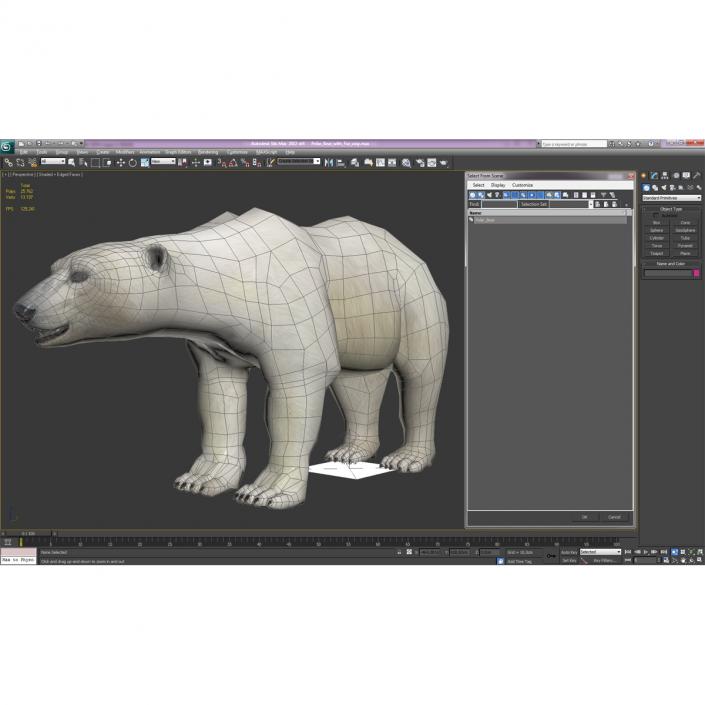 Polar Bear with Fur 3D model