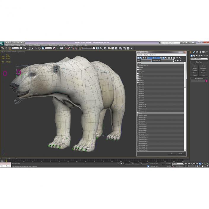 Polar Bear Rigged 3D