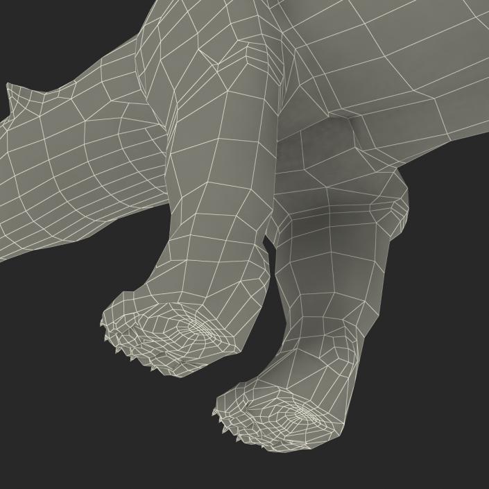 Polar Bear Rigged 3D