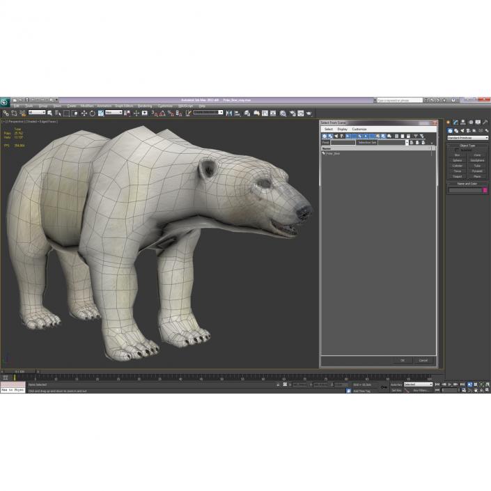 3D model Polar Bear