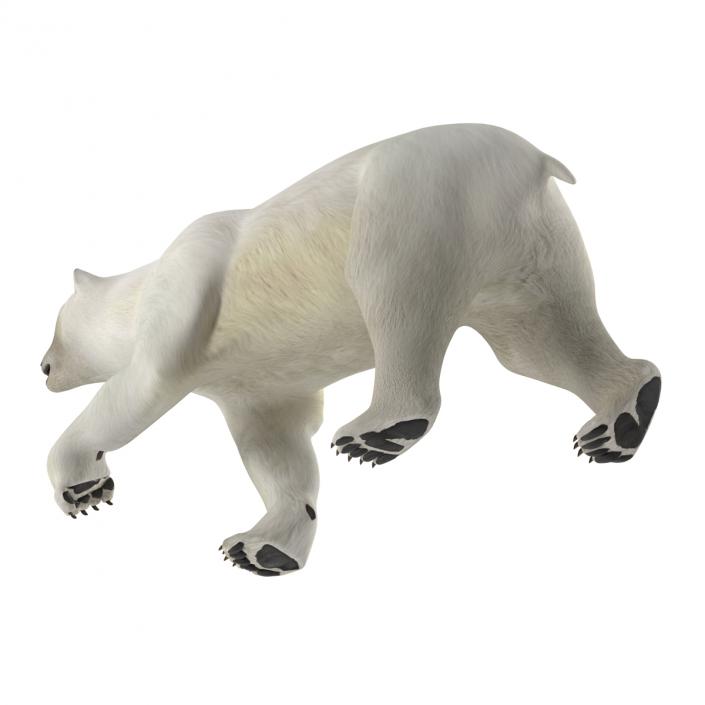 Polar Bear Pose 2 3D