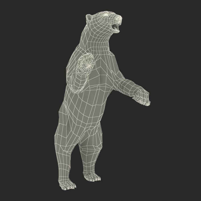 Polar Bear Pose 3 3D