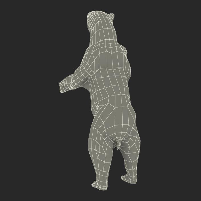 Polar Bear Pose 3 3D