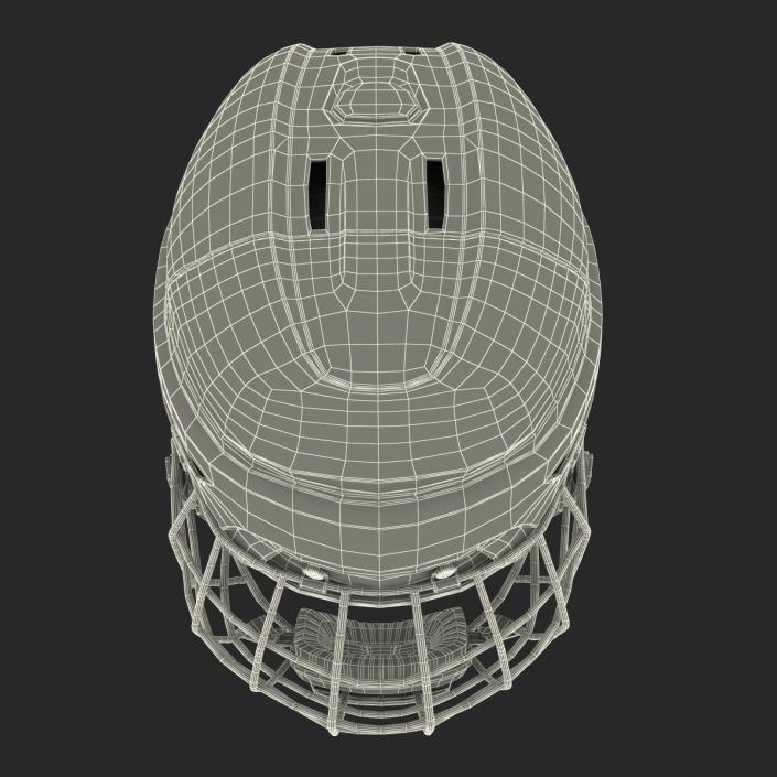 Ice Hockey Helmet 3D