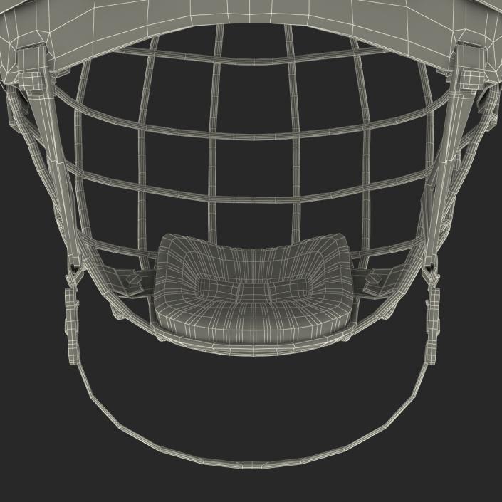 Ice Hockey Helmet 3D