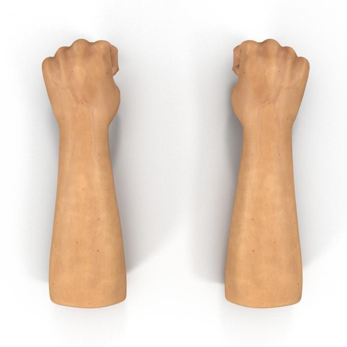 3D Man Hands 2 Pose 2 model