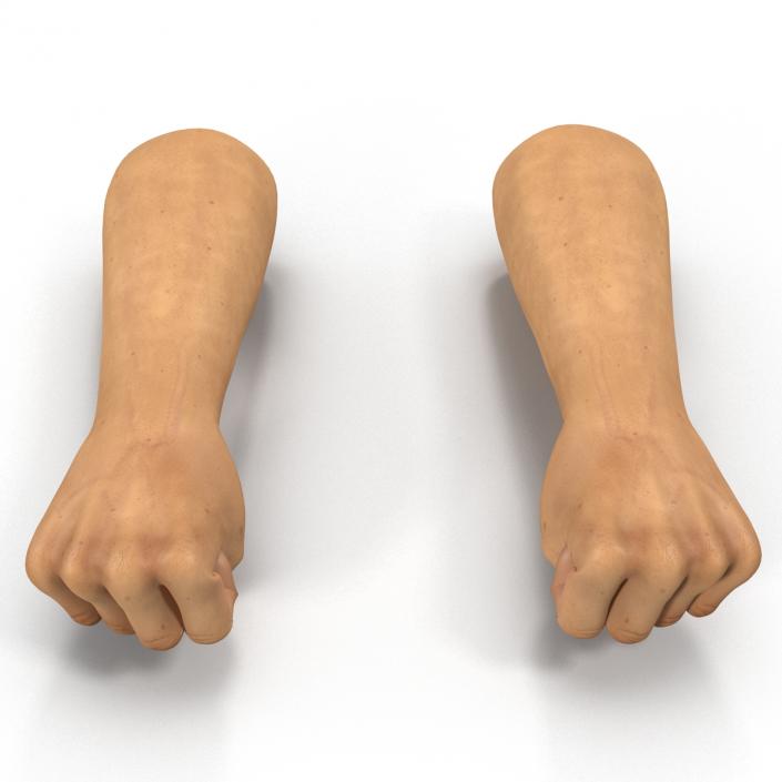 3D Man Hands 2 Pose 2 model