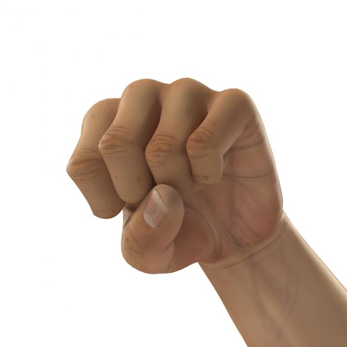 3D Man Hands 2 Pose 2 model