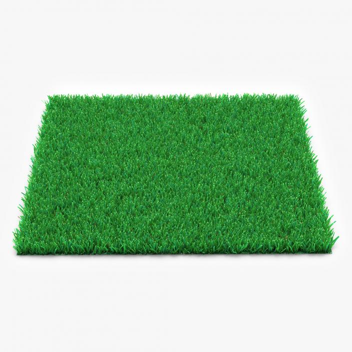 3D model Grass Fields Collection 2