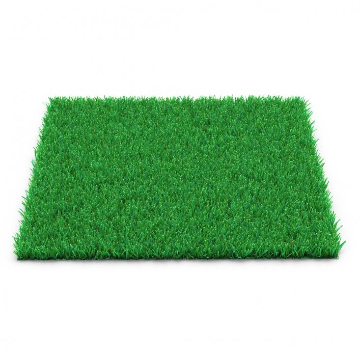 Kentucky Bluegrass Grass 3D model