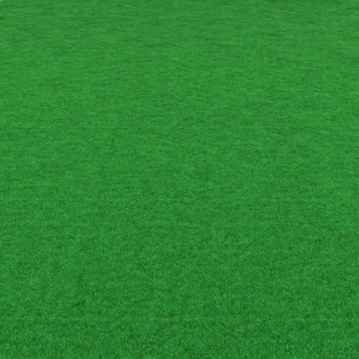 Kentucky Bluegrass Grass 3D model