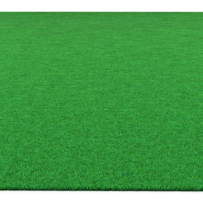 Kentucky Bluegrass Grass 3D model